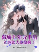 藏娇七年分手后，被顶级大佬抢疯了